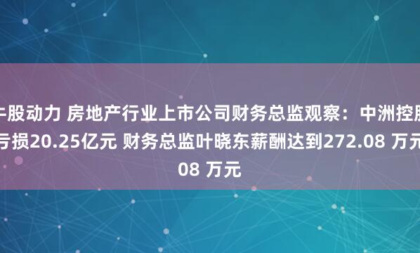 牛股动力 房地产行业上市公司财务总监观察：中洲控股亏损20.25亿元 财务总监叶晓东薪酬达到272.08 万元